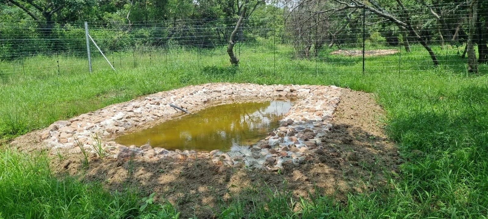 Pond & Water Feature Construction