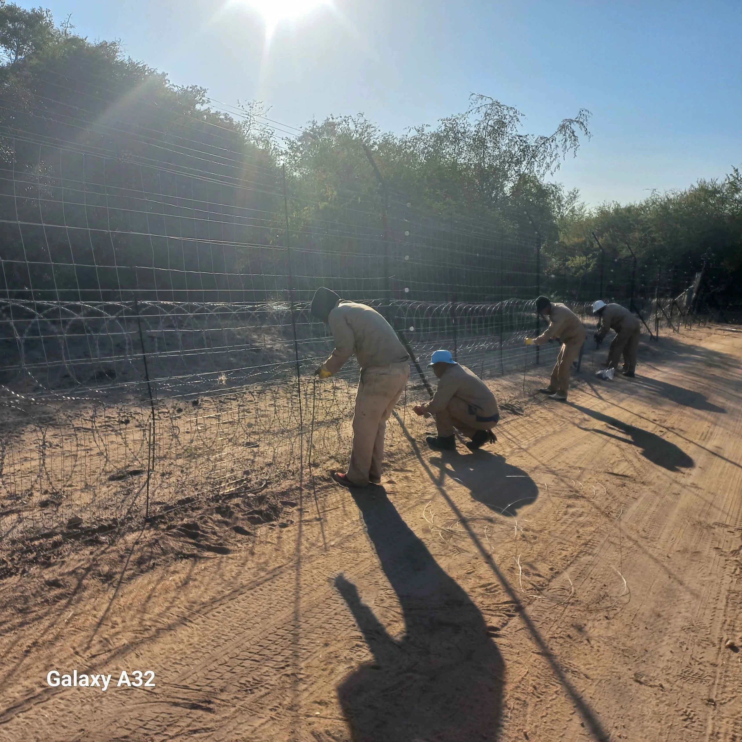Specialised Fencing Installation